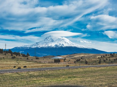 Roseburg, Ben Crump Announce $250,000 Weed Community Scholarship Fund