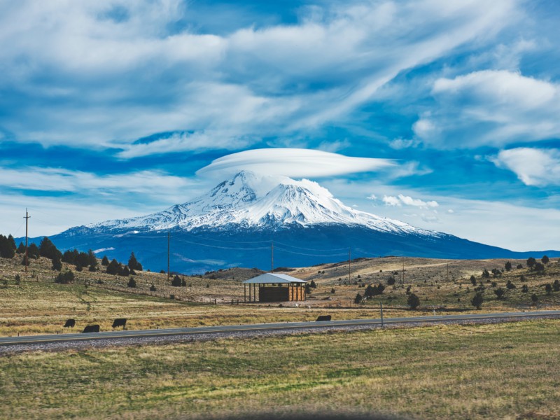 Shot of Mt. Shasta in the background with a rolling field in the foreground