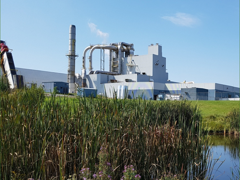 Outside view of the Pembroke plant with a vegetated pond in the foreground